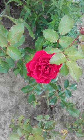 20170713_172006.jpg