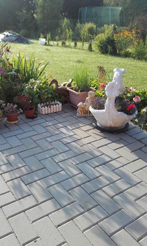 20170719_070256.jpg