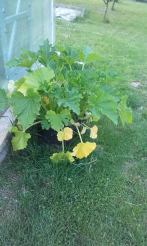 20170627_204920.jpg