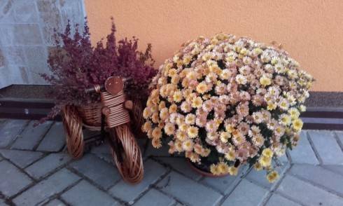 20170914_181117.jpg