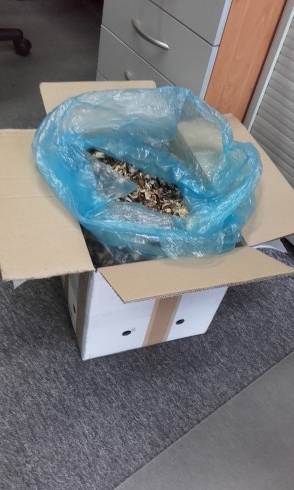 20171019_104528.jpg