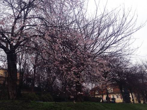 Štědrý den 2015.jpg