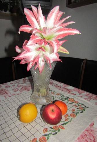 IMG_2928.JPG