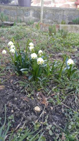 IMG-20180321-WA0007.jpg
