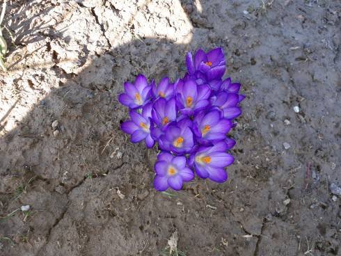 20180330_100549.jpg