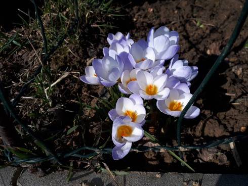 20180330_100522.jpg