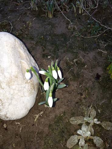20180313_064226.jpg