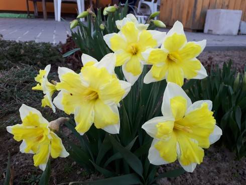 20180409_182351.jpg