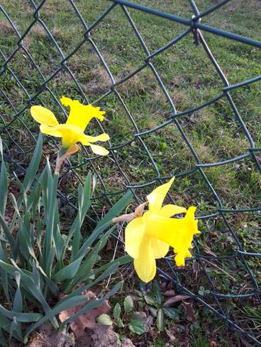 20180409_181945.jpg