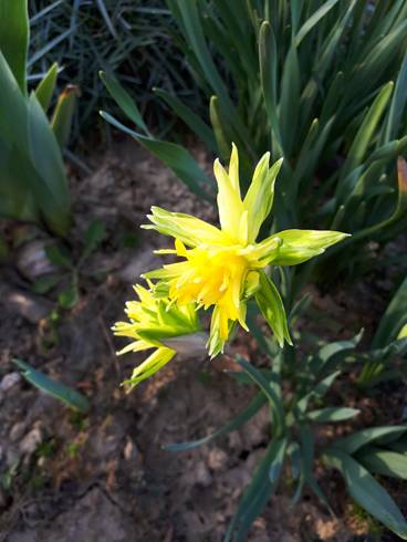 20180409_181936.jpg