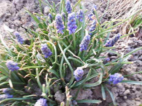 20180412_064821.jpg