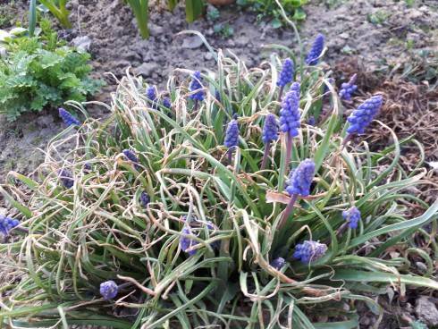 20180412_064811.jpg