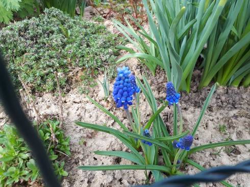 20180415_093539.jpg