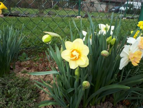 20180415_093534.jpg
