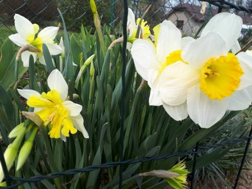20180415_093556.jpg