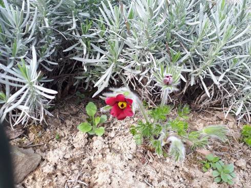 20180415_093621.jpg
