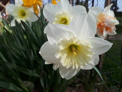 20180415_093805.jpg