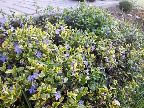 20180418_063553.jpg