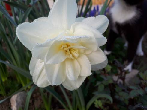 20180418_063721.jpg