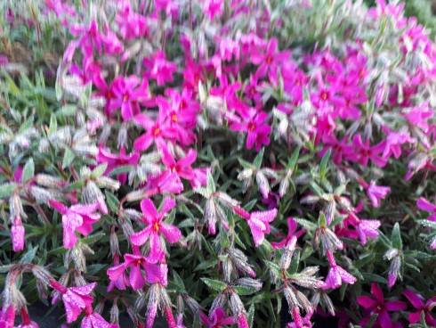 20180418_063834.jpg