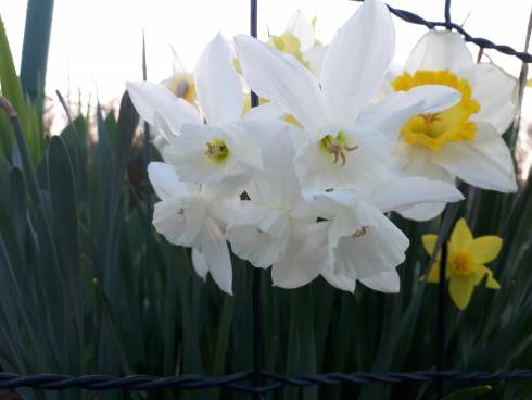 20180419_190637.jpg