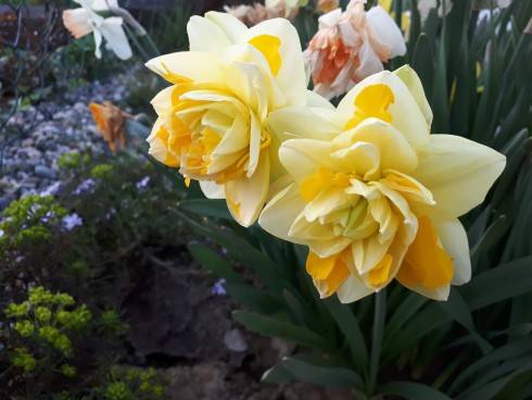 20180419_190818.jpg