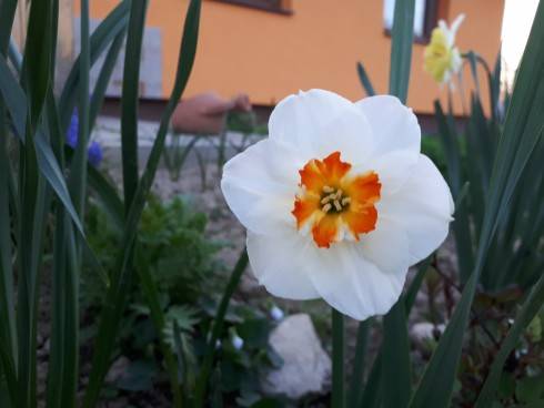 20180419_192140.jpg
