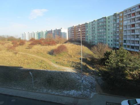 IMG_4368.JPG