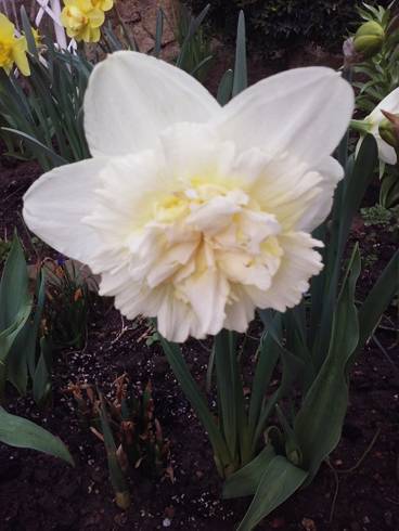 20180415_080046.jpg