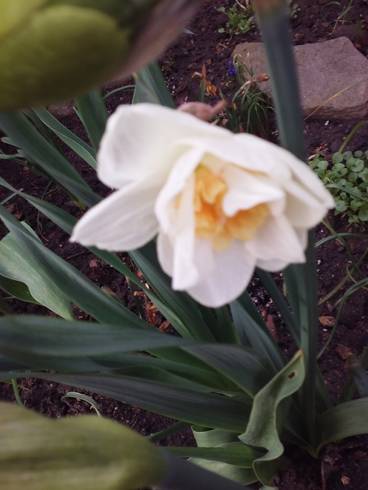 20180415_080106.jpg