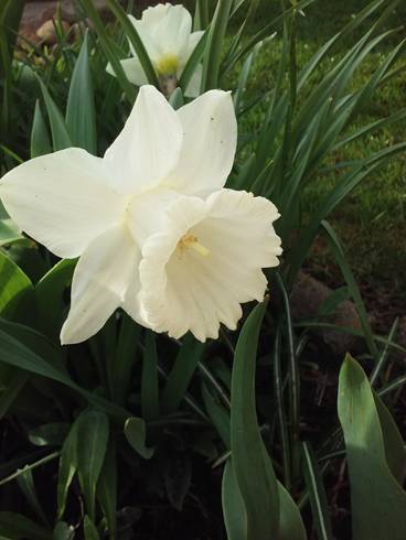 20180415_080212.jpg