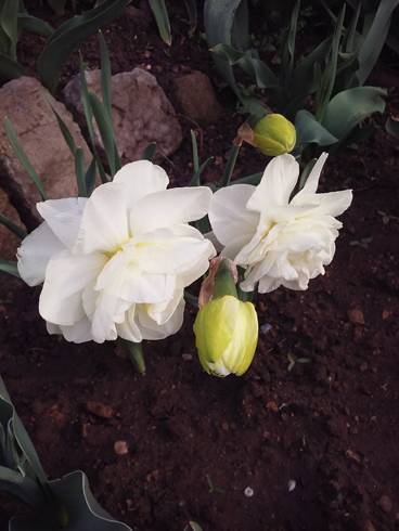 20180415_080350.jpg