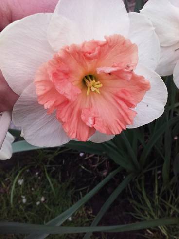 20180415_170502.jpg