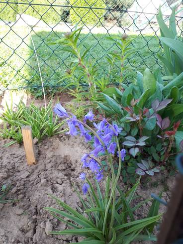20180501_074857.jpg