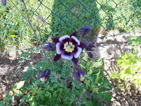 20180501_074842.jpg