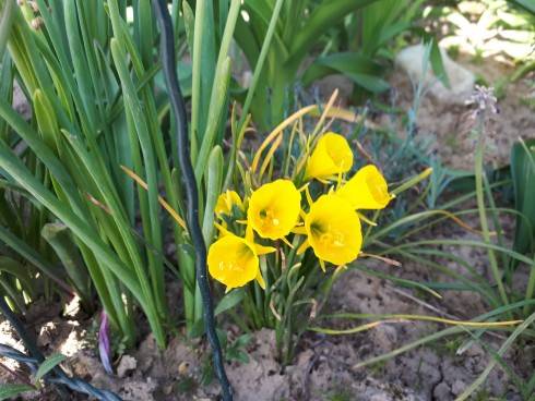 20180501_074753.jpg