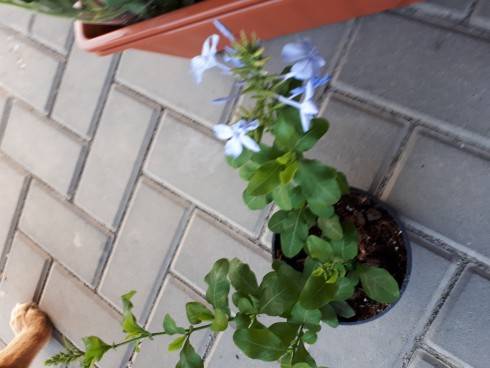 20180502_191913.jpg