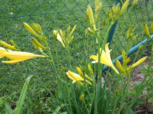 20180512_184531.jpg