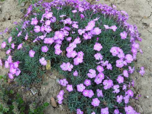 DSCN1178.JPG