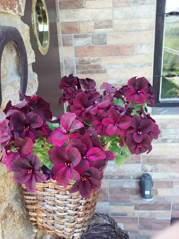 20180505_145514.jpg