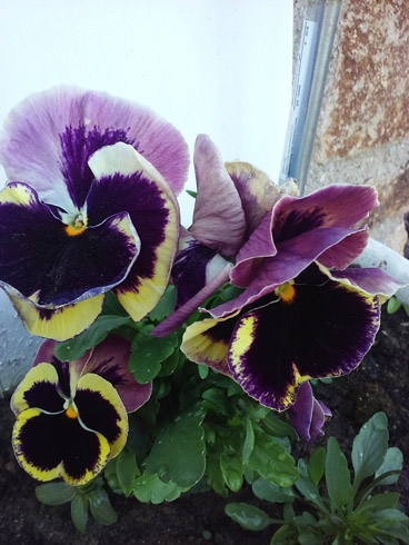 20180506_175938.jpg
