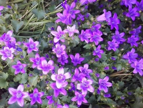 20180520_160406.jpg