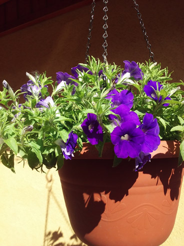 20180520_160424.jpg