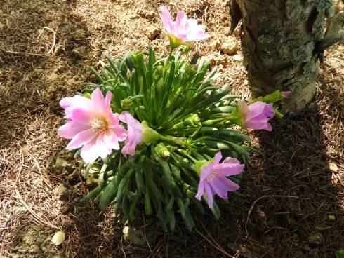 DSCN1238.JPG
