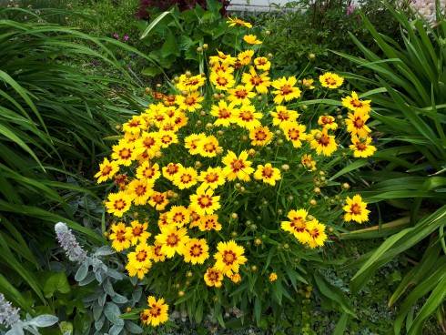 20180610_152505.jpg