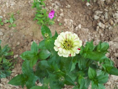 20180610_152617.jpg