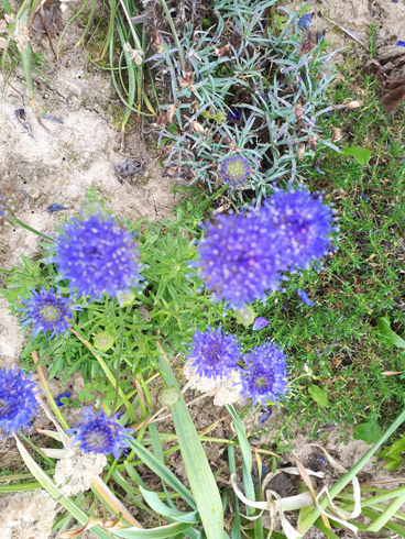 20180610_152718.jpg
