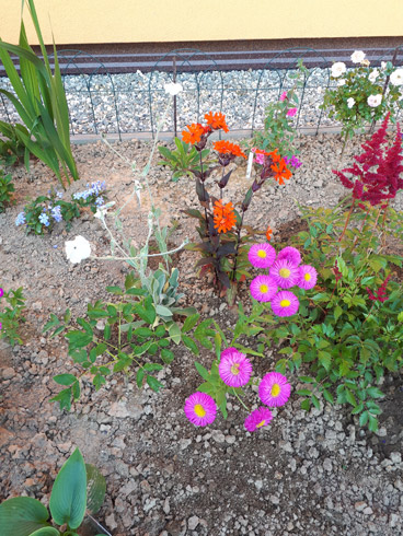 20180611_175820.jpg