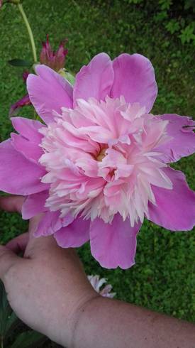 20180605_174043.jpg