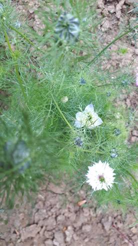 20180711_083902.jpg